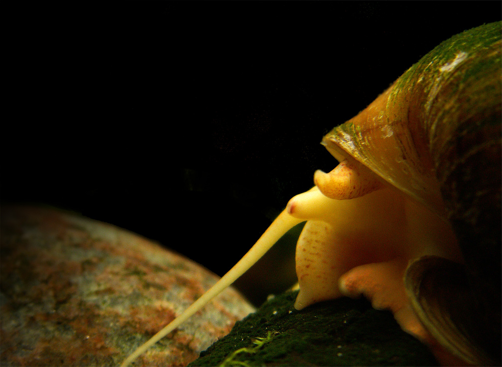 Photographie par DJeXon pour DesignCrowd (Community Contests) | Design #9059006