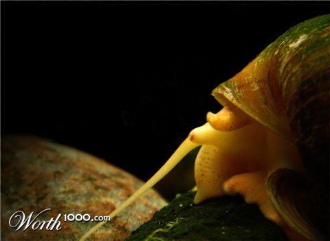 Photography by DJeXon