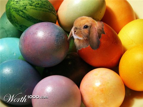 Photoshop Design by happylittletree