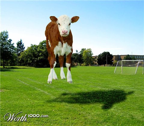 Photoshop Design by matster