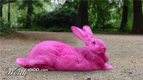 Photoshop design by CORYMARTIN for DesignCrowd (Community Contests)