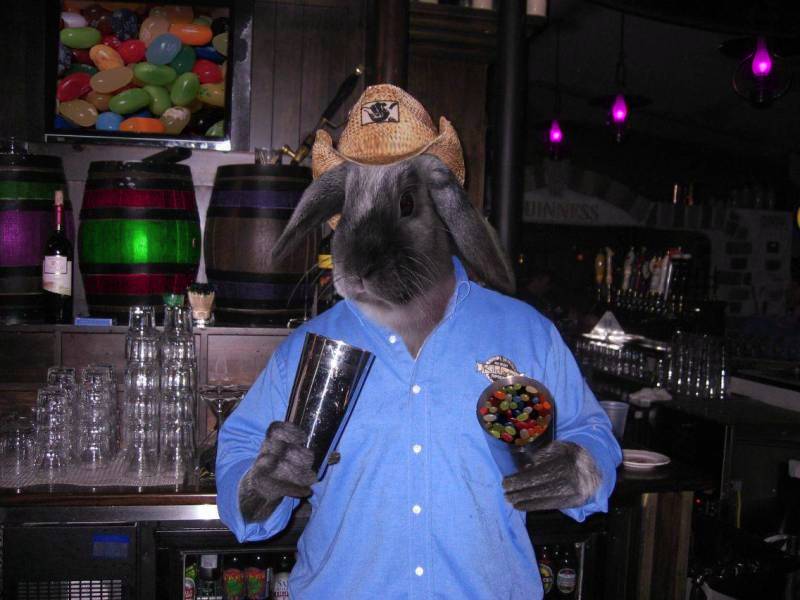 Design Photoshop par sloanyo pour DesignCrowd (Community Contests) | Design #9041022