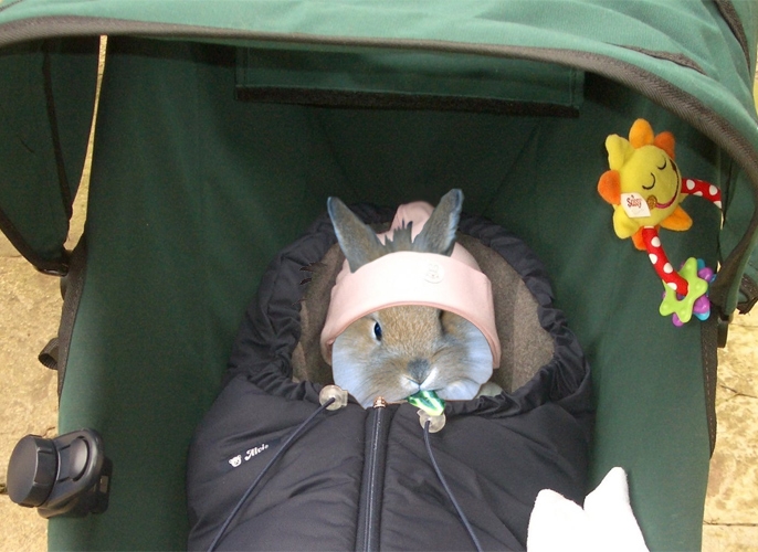 Design Photoshop par matster pour DesignCrowd (Community Contests) | Design #9041026