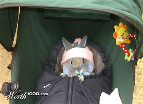 Photoshop Design by matster