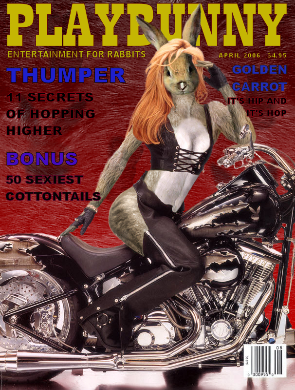 Photoshop-Design von Hobbit90 für DesignCrowd (Community Contests) | Design #9041091