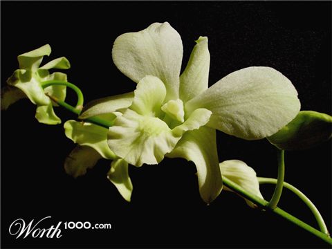 Photography by IsleofJura