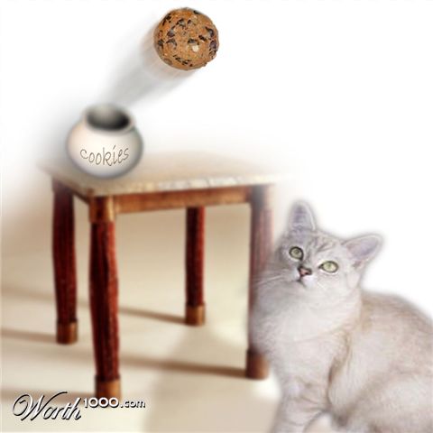 Photoshop Design by quarryninja