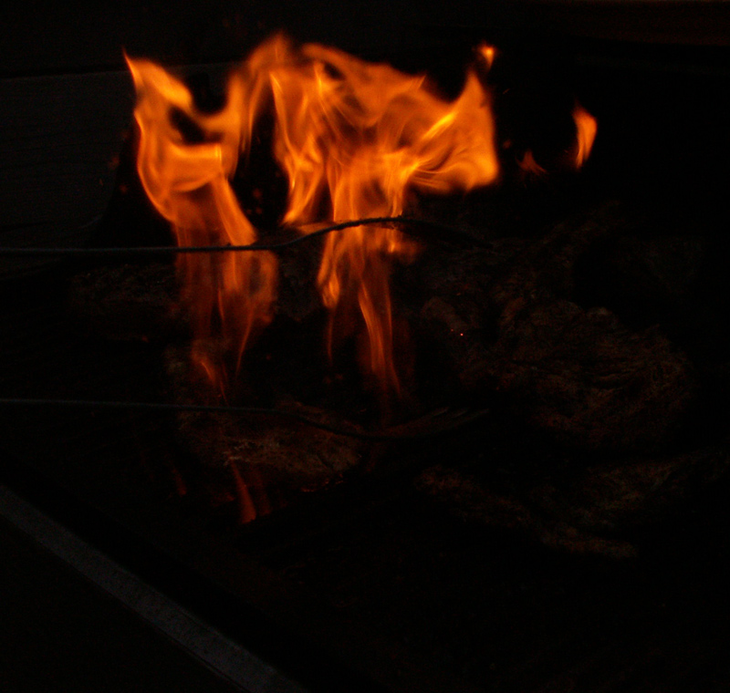 Photography by Halkatla for DesignCrowd (Community Contests) | Design #9050651