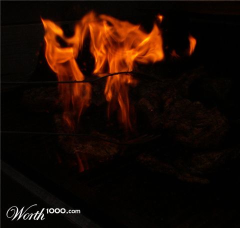 Photography by Halkatla