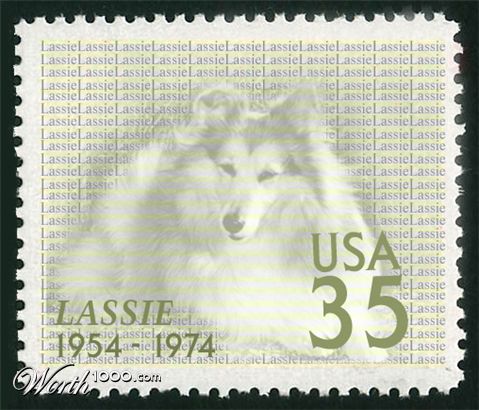 Photoshop Design by Qinghai