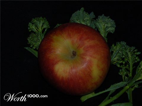 Photography by peixoto