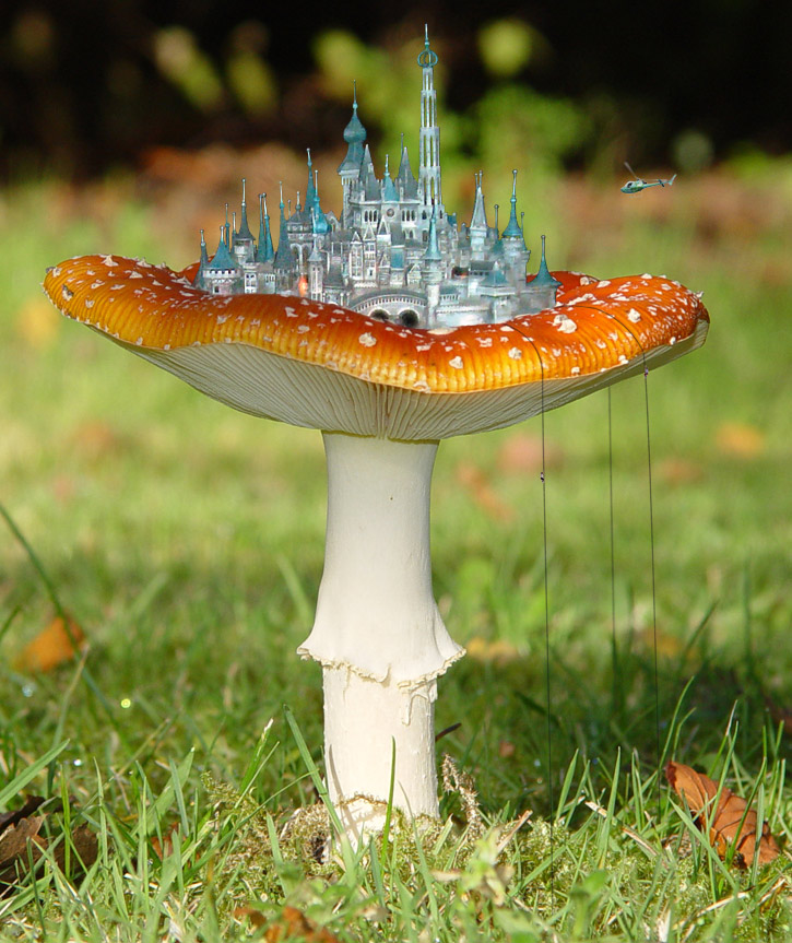 Photoshop-Design von Nicky666 für DesignCrowd (Community Contests) | Design #9054228