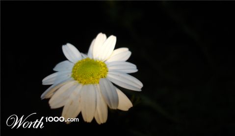 Photography by Scaggy