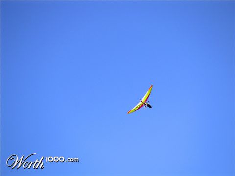 Photography by StevieM