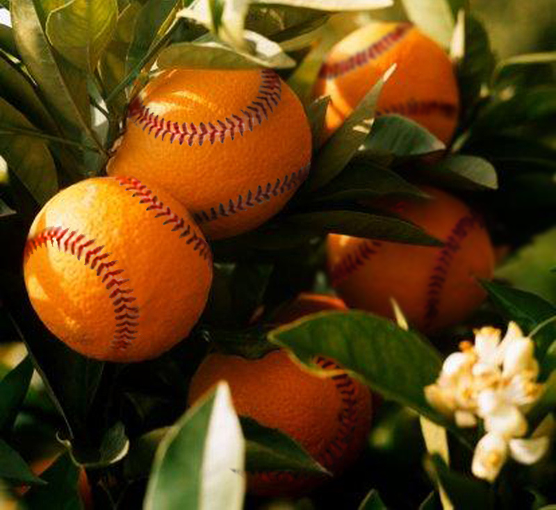 Photoshop Design by Ross Harried for DesignCrowd (Community Contests) | Design #9058462