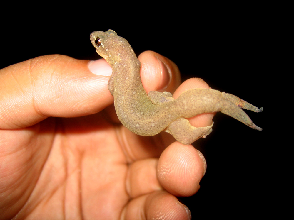 Photography by Avederp for DesignCrowd (Community Contests) | Design #9059137