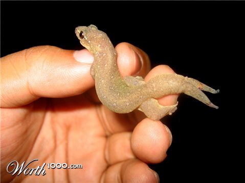 Photography by Avederp