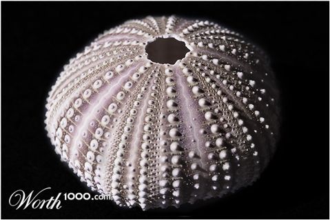 Photography by Joanne25