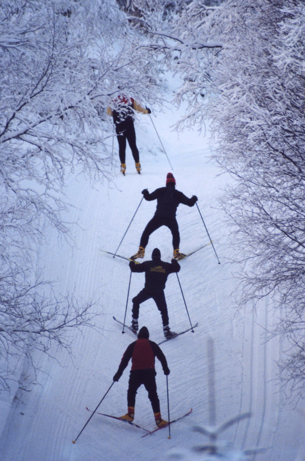 Fotografie von georgethedog für DesignCrowd (Community Contests) | Design #9041820