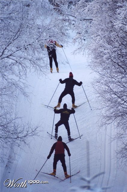 Photography by georgethedog