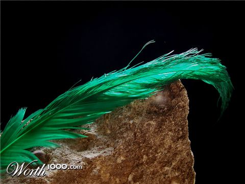 Photography by DutchPuh