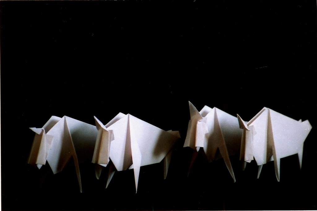 Photography by kalyangantait for DesignCrowd (Community Contests) | Design #9059311