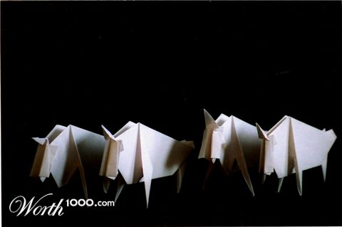 Photography by kalyangantait