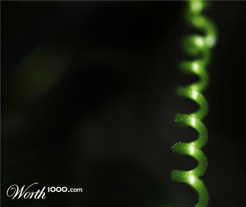 Photography by damas100