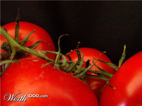 Photography by nova22