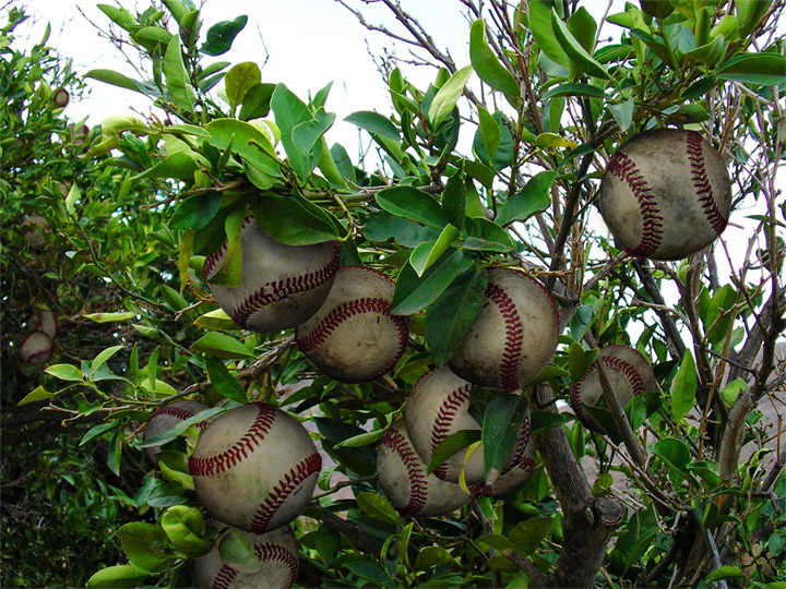 Photoshop Design by bertdesign for DesignCrowd (Community Contests) | Design #9058637