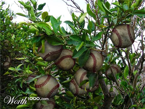 Photoshop Design by bertdesign