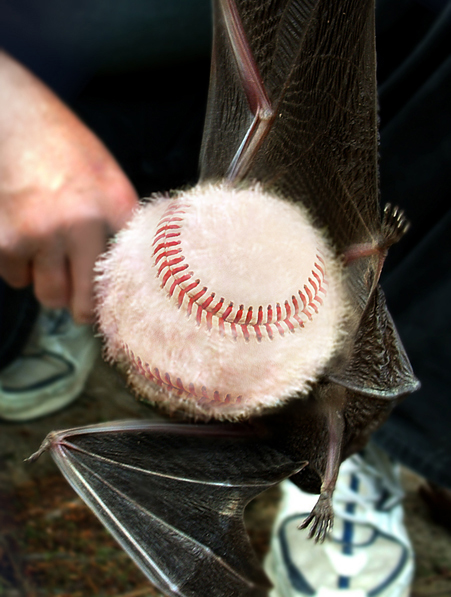 Photoshop Design by pacifico for DesignCrowd (Community Contests) | Design #9058629