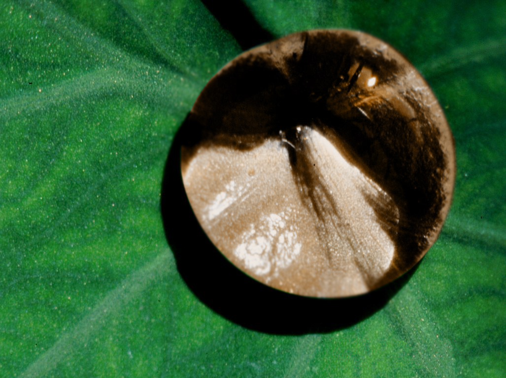 Photoshop Design by panaloliver2989 for DesignCrowd (Community Contests) | Design #9041185