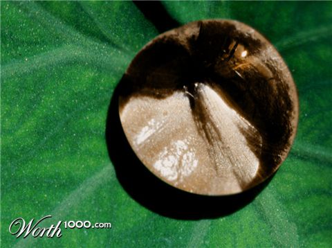 Photoshop Design by panaloliver2989