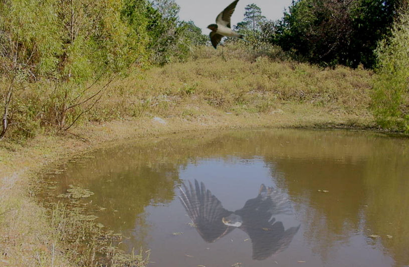 Photoshop Design by Irrwitzer for DesignCrowd (Community Contests) | Design #9041191