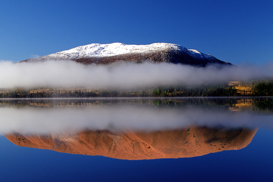 Design Photoshop par tArAntulAX pour DesignCrowd (Community Contests) | Design #9041181