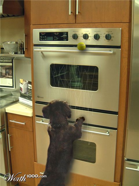 Photoshop Design by ellall