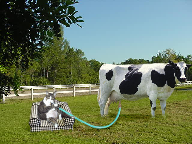 Photoshop-Design von Hobbit90 für DesignCrowd (Community Contests) | Design #9058764