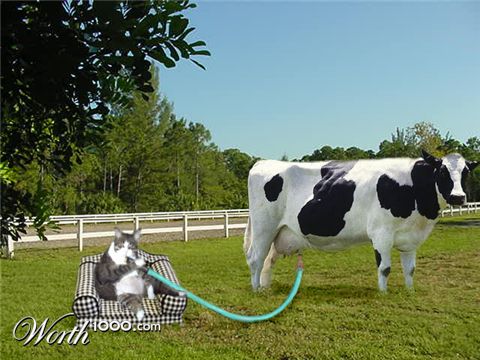 Photoshop Design by Hobbit90