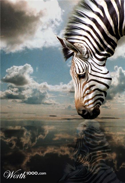 Photoshop Design by EyEars