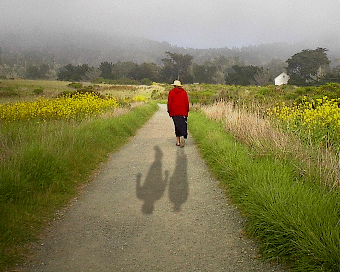 Photoshop Design by donzee for DesignCrowd (Community Contests) | Design #9041293