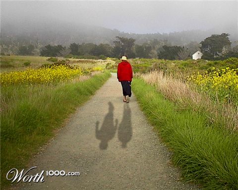 Photoshop Design by donzee