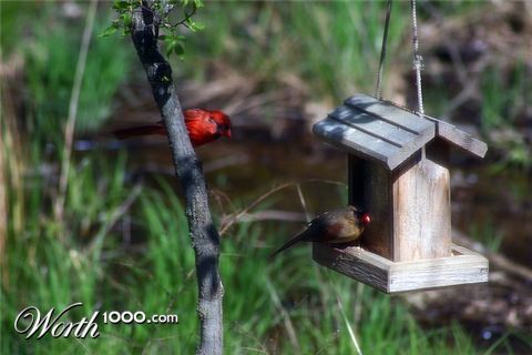 Photography by zsandra