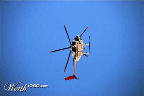 Photography by dasteveco