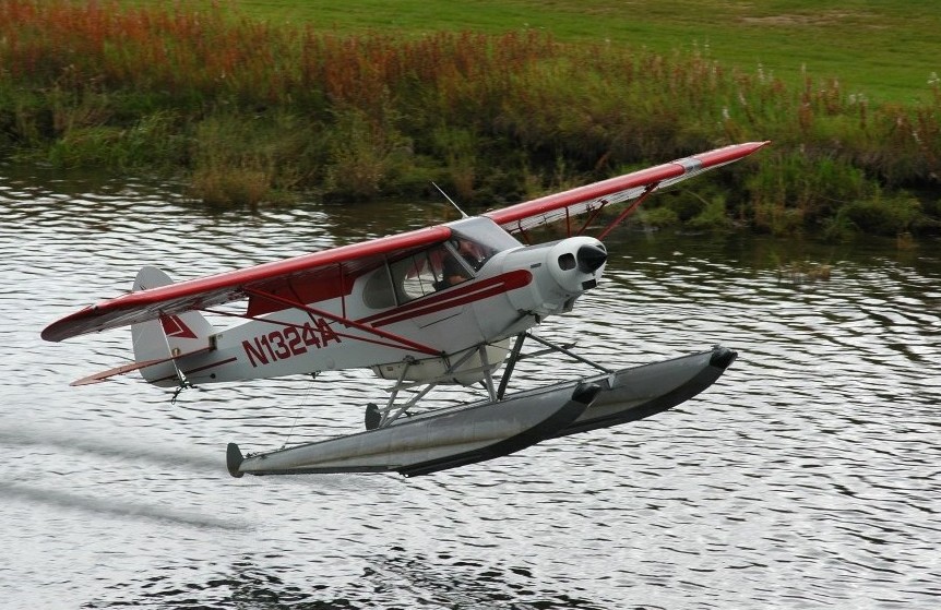 Photography by tweetybirdfan222 for DesignCrowd (Community Contests) | Design #9050503