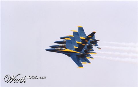 Photography by georgethedog