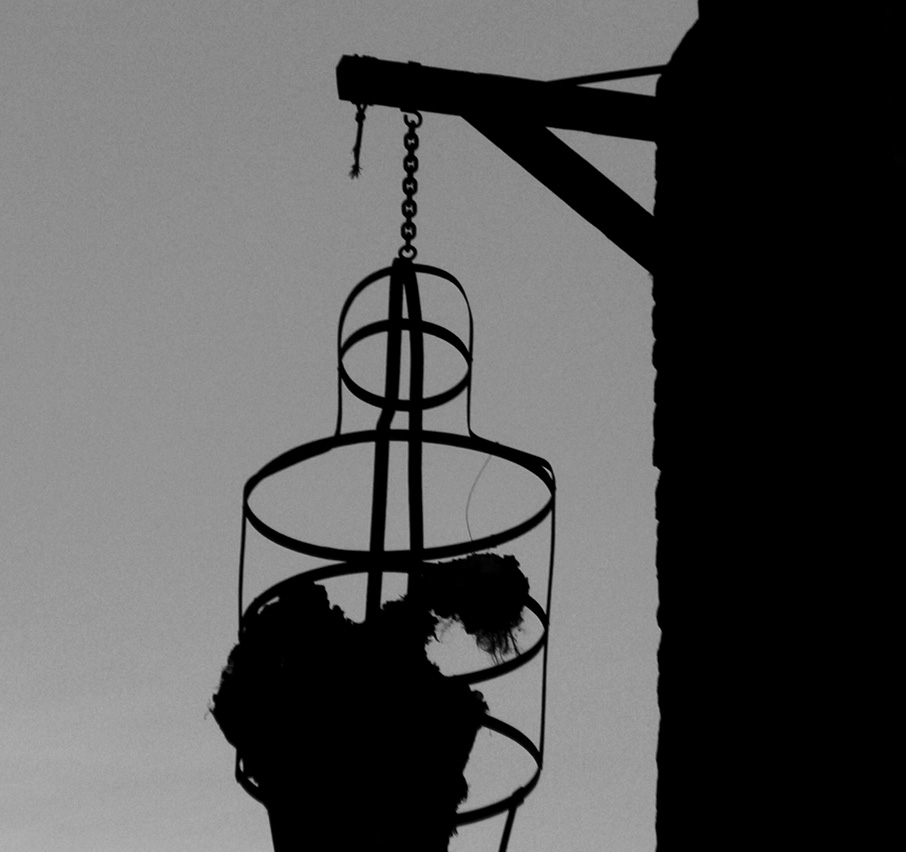 Photography by cooganj for DesignCrowd (Community Contests) | Design #9049956