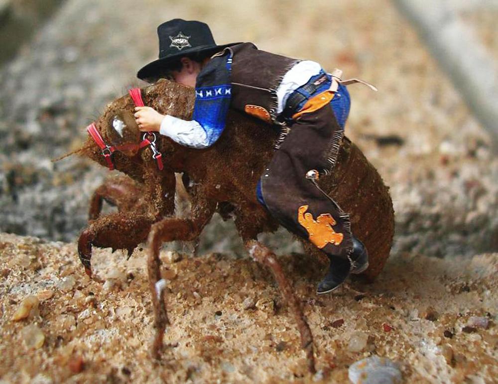 Photoshop Design by sugarcane for DesignCrowd (Community Contests) | Design #9050546