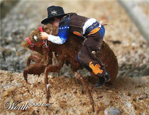 Photoshop Design by sugarcane