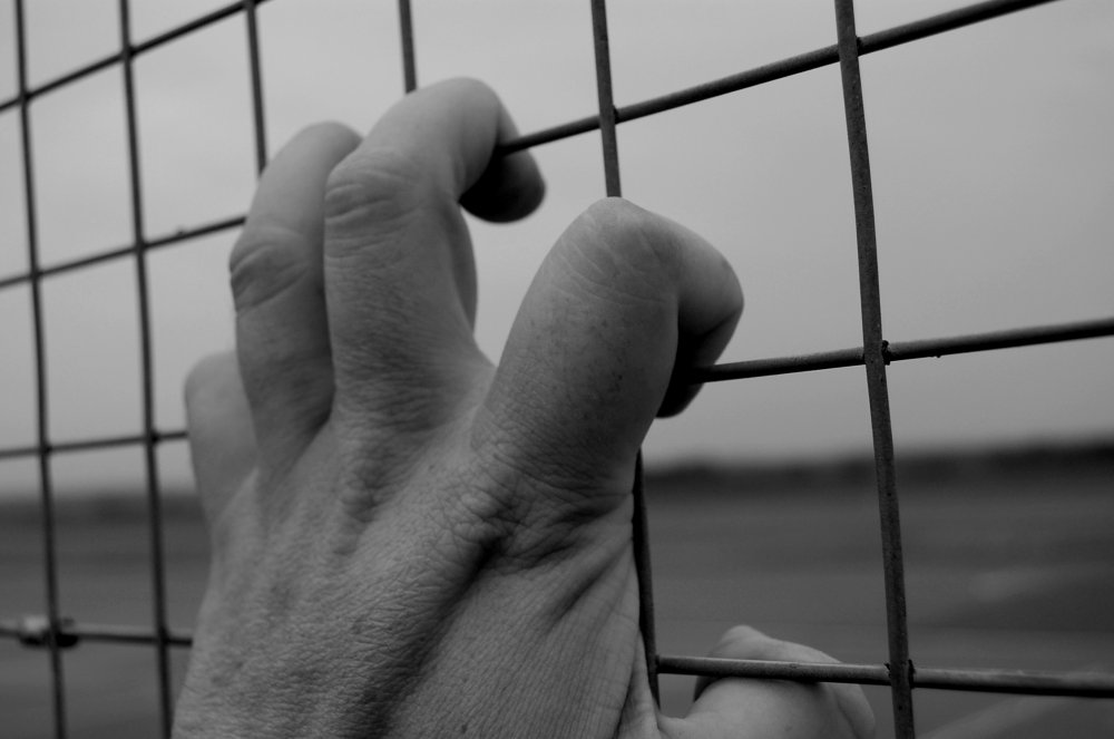 Photography by MrHedgehog for DesignCrowd (Community Contests) | Design #9039758